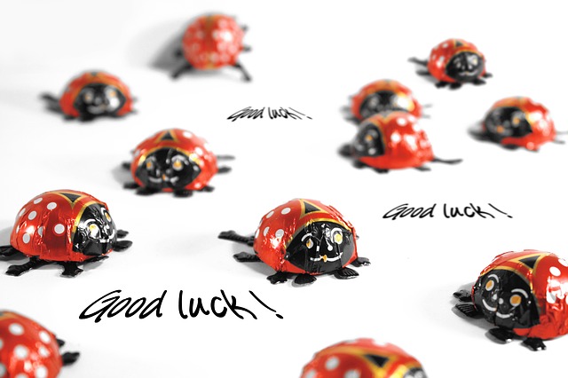 ladybug-65685_640